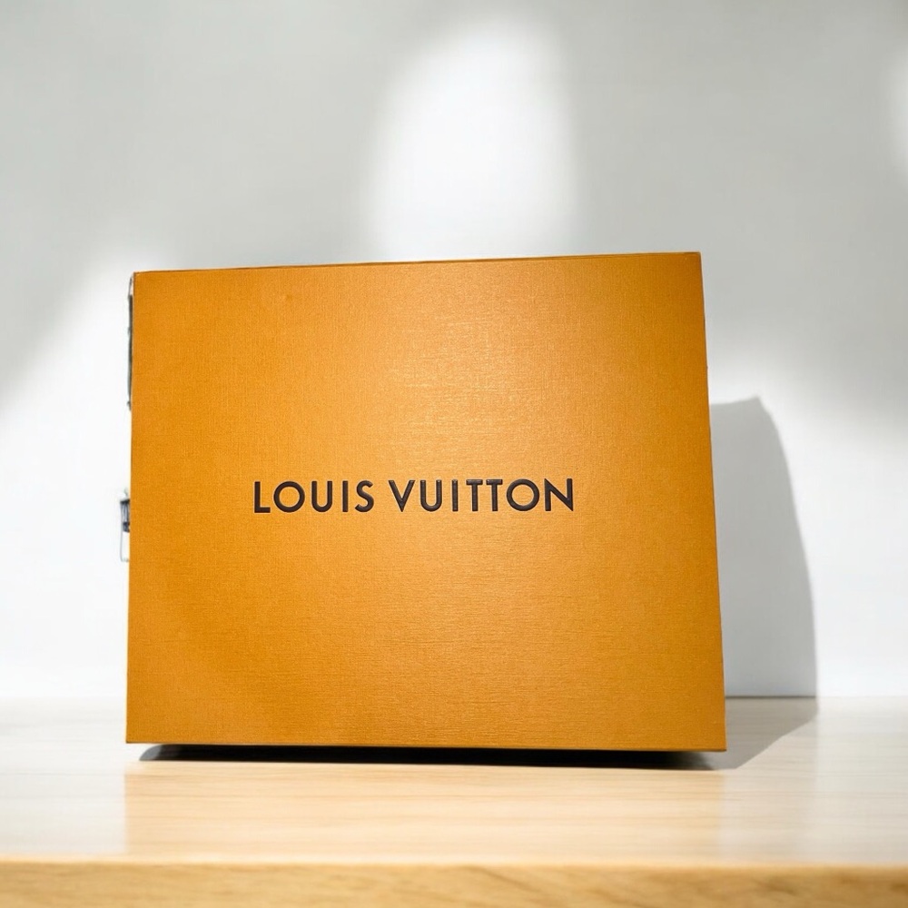 LOUIS VUITTON HARD MAGNETIC CLOSURE BOX
